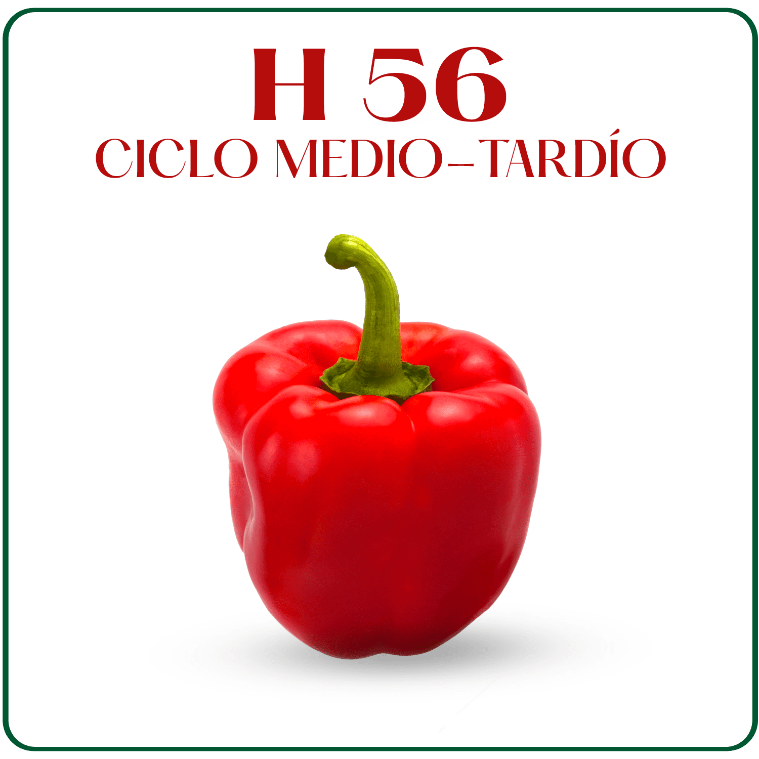H-56